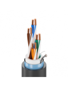 Belden 7953A 0101000