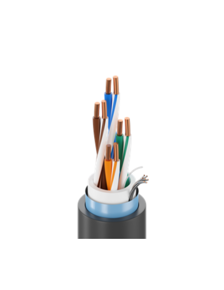 Belden 7953A 0101000