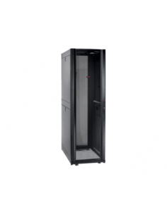 1323-428113BK, 42U 800 x 1000 Cabinet